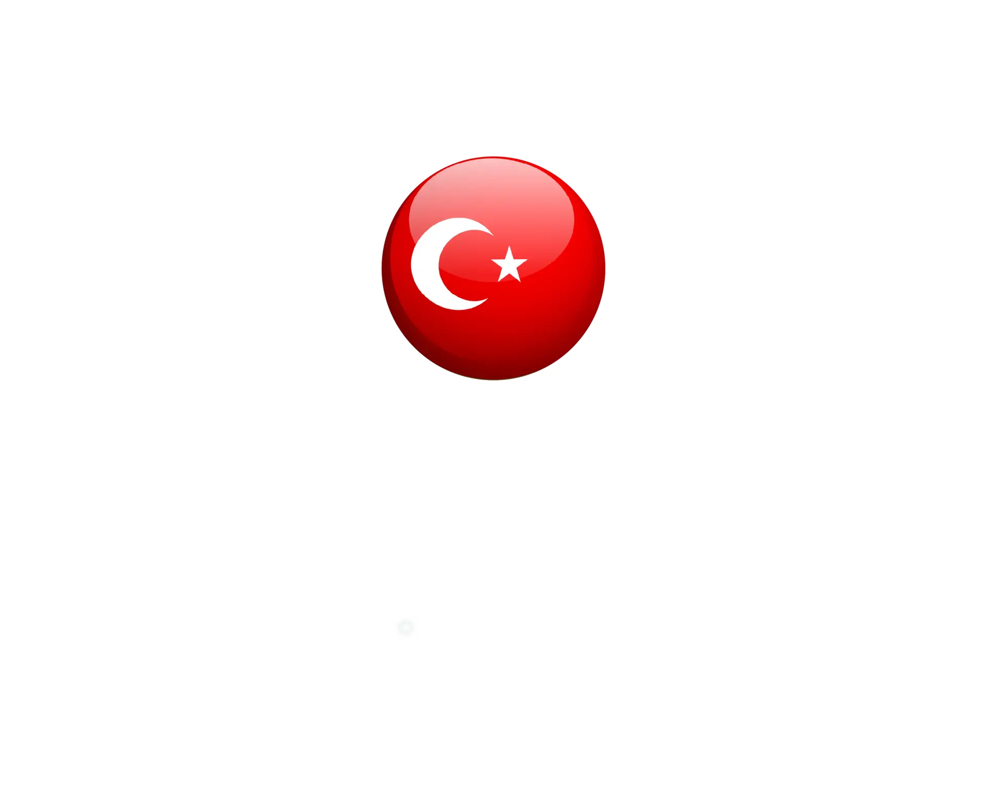 Turkey exhibition services